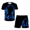Nueva Serie de Artículos de Erizo Europeos y Americanos: Conjunto Fresco de Camiseta y Shorts con Estampado Digital 3D de Dibujos Animados para Niños