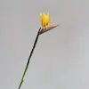Textura de Couro PU de Ave do Paraíso Simulada Flor Strelitzia Borracha Macia Flor Falsa Planta de Imitação Arranjo de Flores de Chão Textura Ave do Paraíso Hidratante