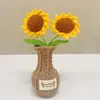 Planta em vaso de crochê artesanal transfronteiriço, flor de miosótis e rosa artificial eterna, decoração para vaso de carro e casa