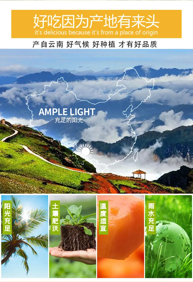 彩苹之愿高原彩色苹果拼装礼盒详情图