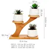 Dongheng Maceta de Animales Estilo Japonés y Coreano Maceta Mini Pulgar Adornos Set de Búho Cambio de Horno Maceta para Suculentas con Base
