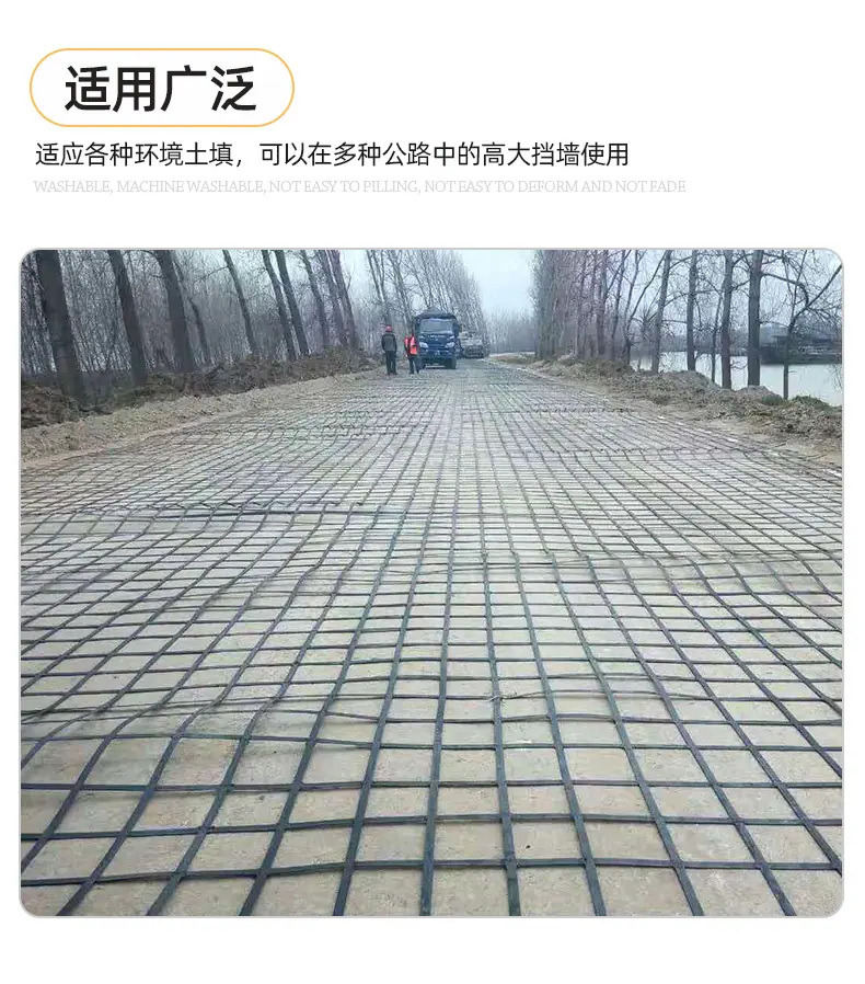 2钢塑土工格栅_06.jpg