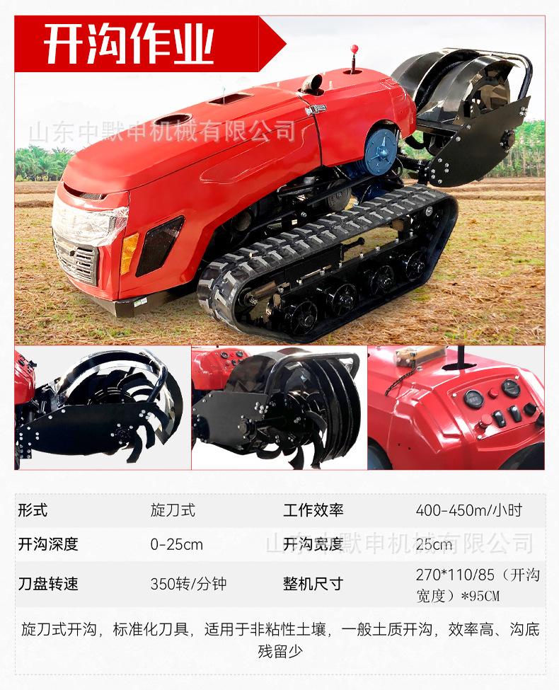 中文详情_12