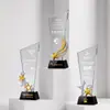 Troféu de premiação de fábrica, painel inclinado transparente colorido personalizado, estrela de cinco pontas para reunião anual, cúpula, reconhecimento, impressão e gravação personalizáveis