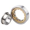 Porte humano NJ 305 306 307 308 309 310 311 312 313 314 315EM/Z1C3