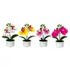 Flor Artificial Fresca Estilo Nuevo Orquídea Phalaenopsis Planta en Maceta con 2 Flores en una Maceta de Tres Patas para Decoración de Jardín y Repisa de Ventana, Bonsái de Flor Artificial para el Hogar