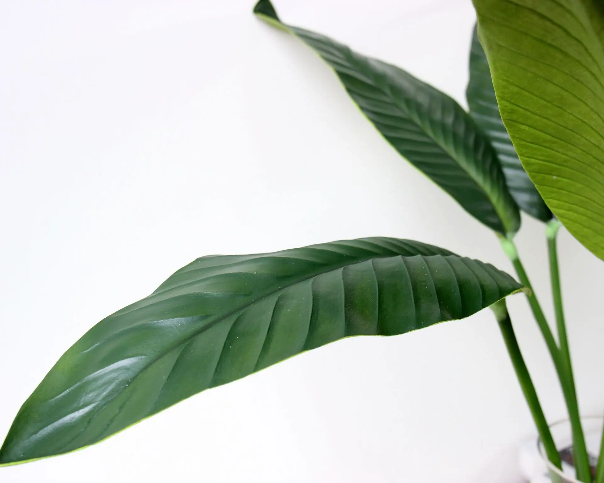 详情6-细节 (5).JPG