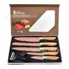 Nuevo Juego de Cuchillos de Caja con Tapa abatible de Acero Inoxidable Electroplateado de Venta Caliente Transfronterizo Juego de 6 Piezas de Cuchillos de Cocina Cuchillo de Chef Cuchillo Pintado en Spray Cuchillo de Cocina