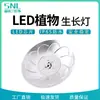 Luz LED de espectro completo para plantas impermeable crecimiento de plantas pitahaya carnosa luz para macetas venta directa de fábrica transfronteriza