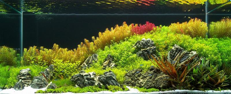 造景示例4