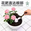 Ventilación de tierra en maceta de jardinería, control de raíces de plantas verdes, sin estancamiento de raíces, tierra transpirable, disipación de calor de la maceta, fertilización, drenaje, deshumidificación seca, circulación