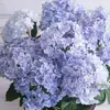 Las plántulas de hortensia en maceta son plantas fáciles de cultivar en interiores y florecen durante todo el año.. Las flores grandes en verano son fáciles de sobrevivir.