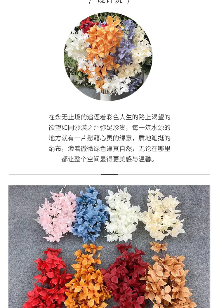 三角梅_02.jpg