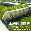 Equipamentos para Cultivo Sem Solo, Painéis de Aquaponia, Canteiros Hidropônicos para Hortaliças, Canteiros Aquáticos para Tanques de Peixes, Placas Flutuantes para Plantio