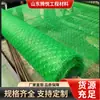 Spray de Gramado para Taludes Sementes de Grama Fina Rede de Vegetação Tridimensional Plantio Rápido de Grama Proteção de Taludes Solidificação do Solo Rede de Vegetação Tridimensional Reforçada NSS
