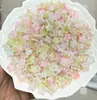 Tarjeta 12 Flor de Estrella de Cinco Puntas Mapei Color Portaflores Luminoso Estilo Antiguo Pasador Tocado Accesorios para Joyería DIY con Cuentas Venta al por Mayor