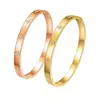 Europa y Estados Unidos comercio exterior transfronterizo moda popular pulsera de titanio y acero con diamantes para mujer no se decolora hebilla de lujo ligero pulsera tendencia