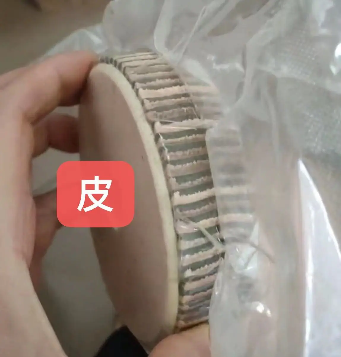 皮的.jpg