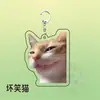 Llavero Acrílico Mini-Teatro de Memes de Gatos, Lindo y Divertido, Colgante Decorativo para Mochila, Regalo para Amigos