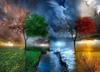Pintura de diamantes 5D de Amazon, con diseño de atardecer, luna, planta, árbol y paisaje, pintura decorativa DIY, fabricantes, venta al por mayor, superventas