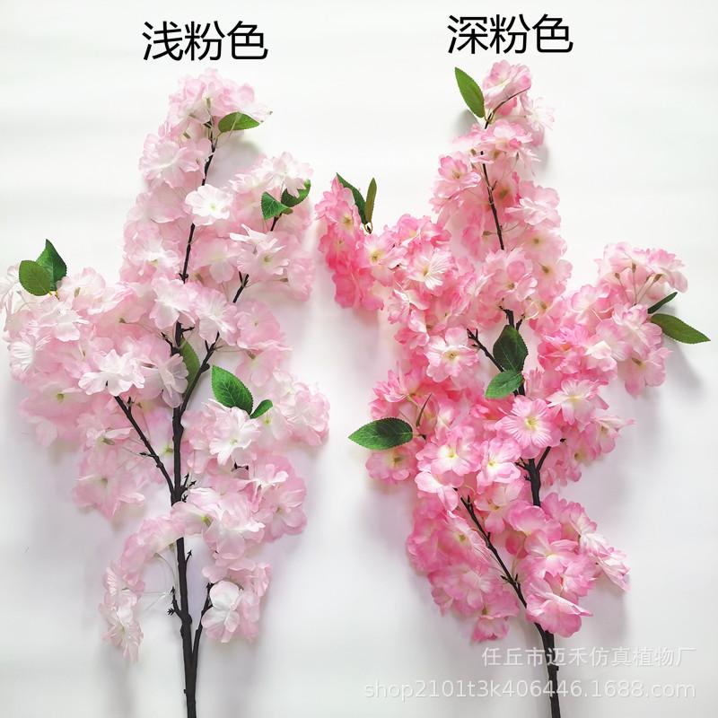 微信图片_20211118132624_副本