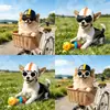 Casco de Motocicleta para Gato con Set de Gafas Yorkshire Chihuahua Sombrero para Montar al Aire Libre Accesorios para Mascotas Venta al por Mayor