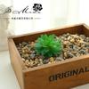 Flores Artificiais, Suculentas, Gadgets Criativos para Paisagismo, Suprimentos para Parede de Plantas, Plantas Verdes Artificiais, Fornecimento Direto da Fábrica, Dropshipping Transfronteiriço