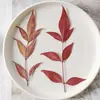 Planta de Hojas de Nandina Especimen Real Hoja Real Especimen DIY Funda de Teléfono de Resina Marcapáginas Lámpara de Escritorio para Niños Pegatina