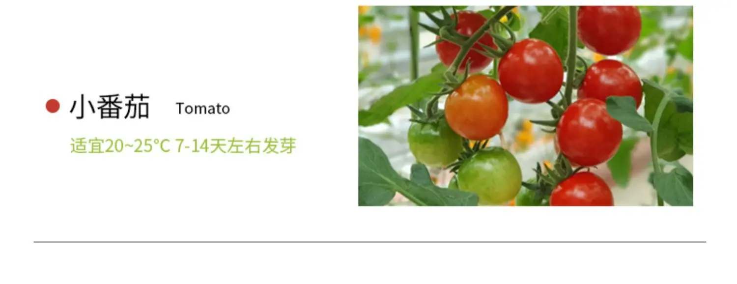 详情图片13.jpg