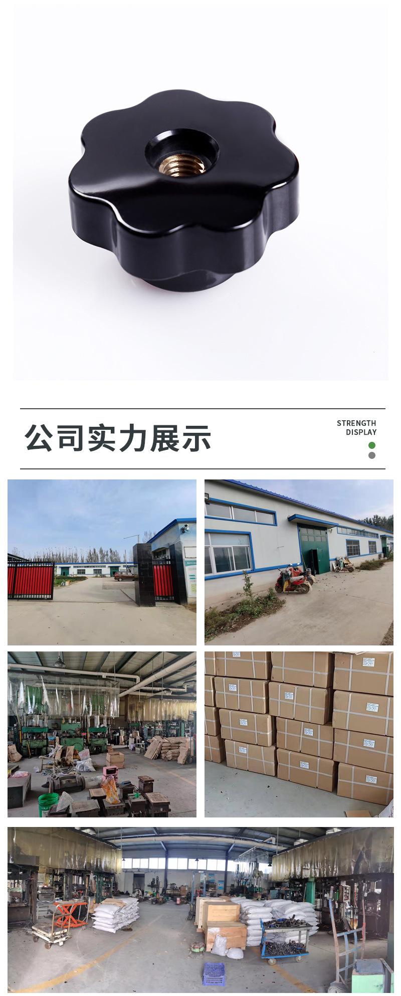 GH100210-通孔星形把手（光辉）_11.jpg