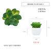 En existencia Simulación de hoja de manzana carnosa Planta en maceta Adornos de escritorio Pequeño regalo Mini planta verde Bonsai TEMU Planta de simulación