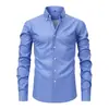 Camisa de Hombre de Manga Larga con Cuello, Rayas Estampadas Digitalmente, Elástica en Cuatro Direcciones, Transfronteriza, Camisa de Hombre de Alta Gama, Ropa para Hombre al por Mayor