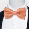 Estoque Pronto do Fabricante Gravata Borboleta Jacquard Formal Masculina para Negócios, Casamento, Festa, Gravata Borboleta Floral de Poliéster em Forma de Seta