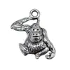 14X9Mm 1g Aleación de Plata Antigua Accesorios para Joyería Colgante de Animal Mono Lindo Retro DIY