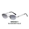 Nuevas gafas de sol de doble puente transfronterizas, gafas de sol poligonales de montura pequeña de moda callejera europea y americana, gafas de sol retro de moda