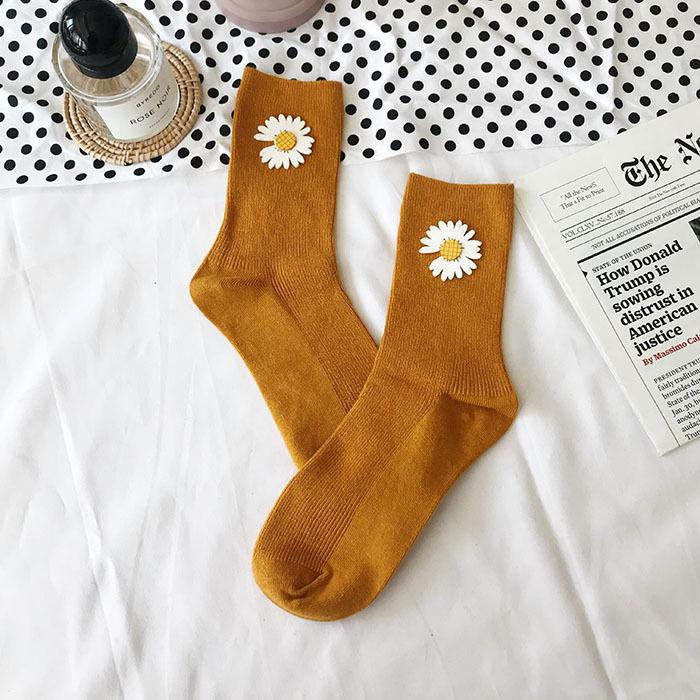 IMG_5390(20191229-232048)