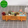 Musgo de campo cálido micro paisajismo carnoso botella de vidrio ecológica planta verde creativa bolsa de materiales DIY adornos traje de actividad