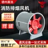Ventilador de Exaustão de Fumaça para Túnel de Garagem HTF Ventilador de Exaustão de Fumaça de Alta Temperatura de Dupla Velocidade 4# -16# Ventilador de Exaustão de Fumaça para Oficina