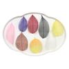 Folhas de Magnólia com Veios de Diamante Branco Folhas Naturais Flores Eternas Flores Secas Feitas à Mão Malha Colorida Folhas Branqueadas Espécime