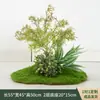 Paisagismo minimalista com folhagens, mobiliário interno aconchegante, canteiros de flores, arranjos de musgo artificial, decorações de paisagem em miniatura para vitrines