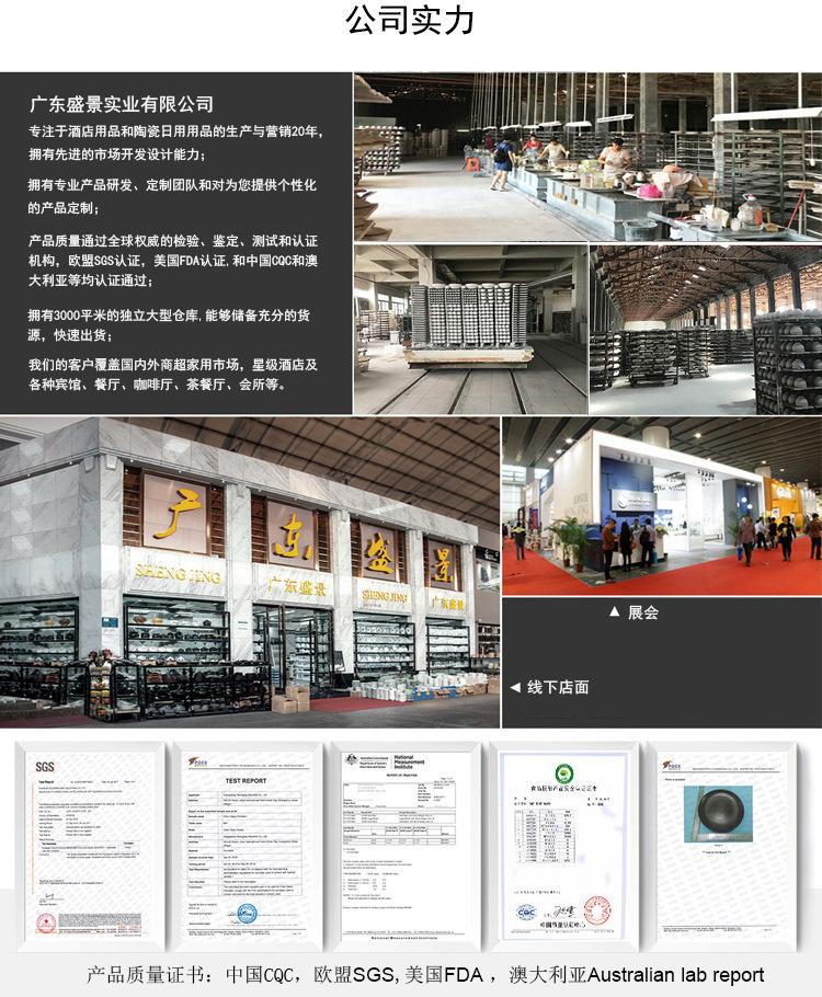 1.公司实力