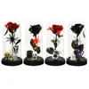 Adorno de Flor Preservada en Cúpula de Vidrio para Halloween Rosa Calavera Araña Luz Decorativa Transfronterizo Vacaciones Mesa Ambiente Fiesta