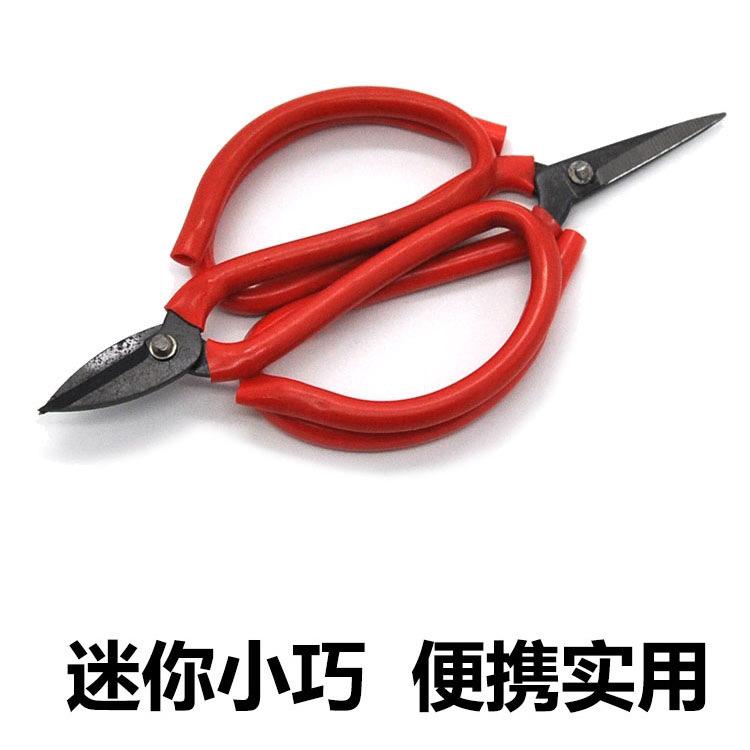 主图1