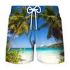 Pantalones de playa deportivos de ocio para hombre, venta al por mayor, impresión digital 3D, para vacaciones de verano en la playa, 2023