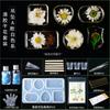 Planta seca flor coaster molde silicone abrasivo ferramenta em relevo cristal artesanal epóxi diy material resina AB cola caseira