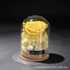 Flor Eterna Mini Cúpula de Vidro Rosa Caixa de Presente Dia das Mães Dia dos Namorados 520 Festival Qixi Natal Presente Criativo