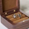 Pendientes de circonita con forma de estrella Super Flash para mujer 2023, nuevos y elegantes pendientes de diseño de nicho de alta calidad, pendientes personalizados de moda.