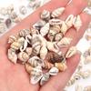 Colgante Flor de Concha Pequeña Natural Semiespiral Hecho a Mano Perforado Materiales para Manualidades DIY para Pulseras, Collares, Aretes y Accesorios de Joyería