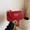 Bolsos de Diseño de Nicho para Mujer, Nuevo Bolso Cruzado de Verano 2025 Más Vendido, Bolso Cuadrado Pequeño Popular de Hombro y Axila Estilo Coreano