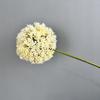 Flores Artificiais de Cebola, Flores Ji'An, Dentes-de-leão para Decoração de Casa, Quartos Modelo, Design de Hotel, Arranjos de Flores, Decoração, Adereços para Fotos, Atacado